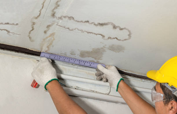 Reliable Water Damage Repair contractor in Canfield, OH by Hirex Water Damage